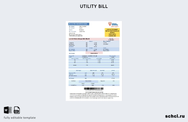 скачать цифровой шаблон счета за электроэнергию Малайзия Tenaga Nasional